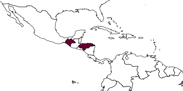 map of Temnothorax terraztecus     Prebus, 2021